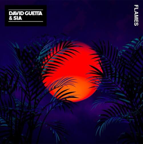 David Guetta &amp; SIA - Flames